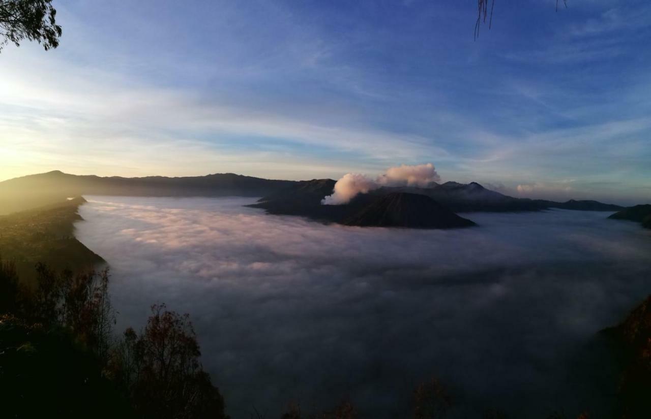 Dannu'S Homestay & Ijen, Bromo, Meru Betiri Sukomade Tours Banyuwangi  Exterior photo